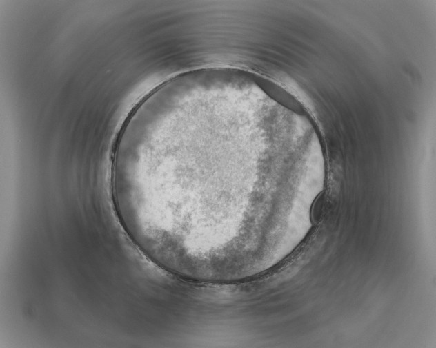 X0000112421096200909251511