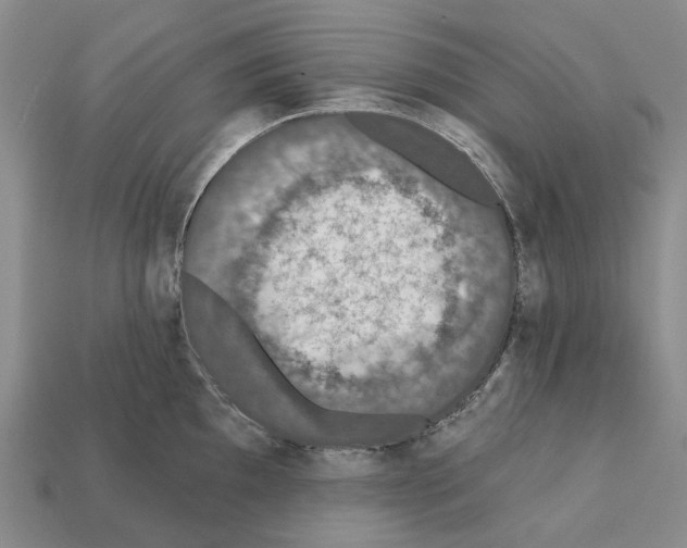 X0000112421097200909251511