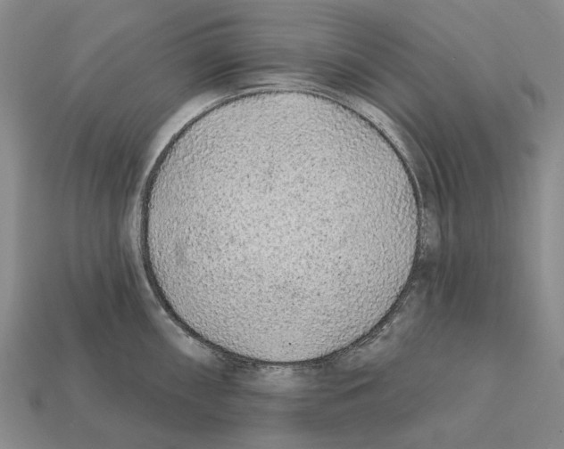 X0000112421098200909251511