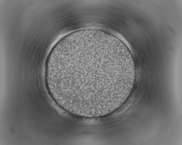 X0000112421099200909251511