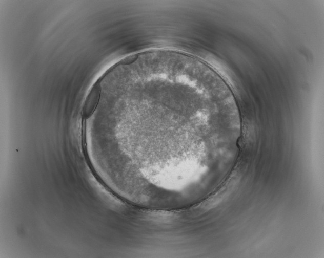 X0000112421100200909251511