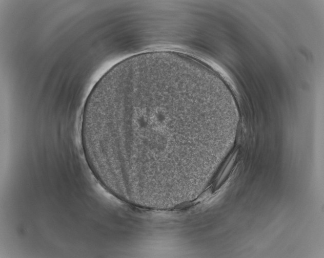 X0000112421102200909251511