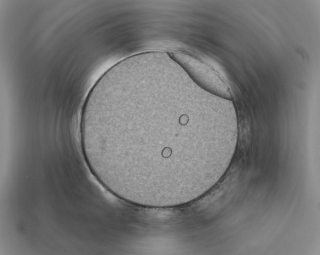 X0000112421103200909251511