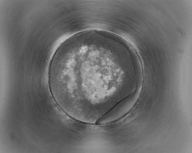 X0000112421104200909251511