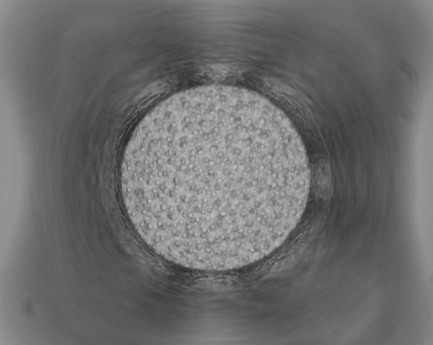 X0000112421105200909251510