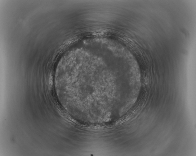 X0000112421106200909251510