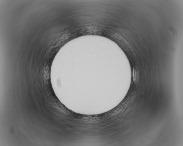 X0000112421107200909251510