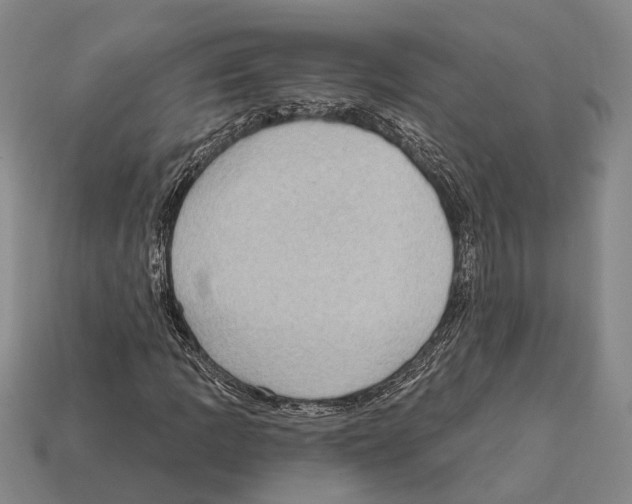 X0000112421109200909251510