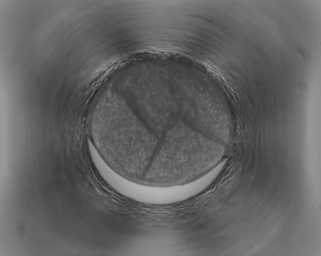 X0000112421110200909251510