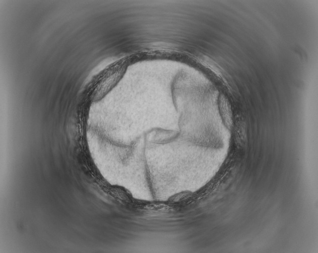 X0000112421112200909251510