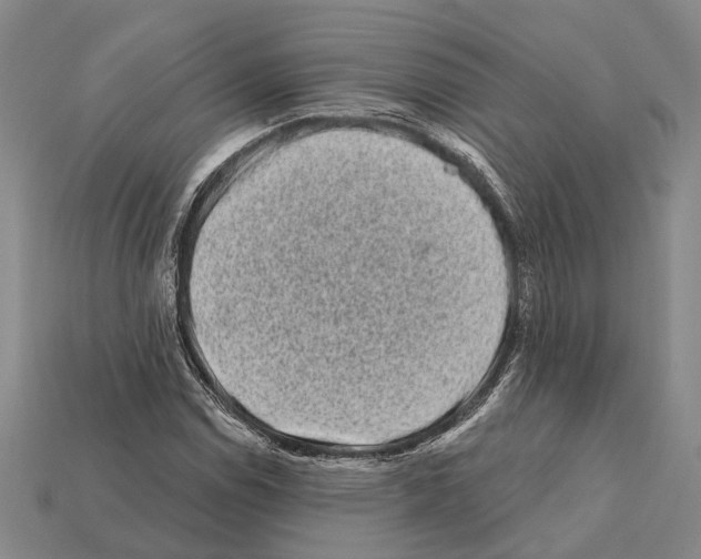 X0000112421114200909251510