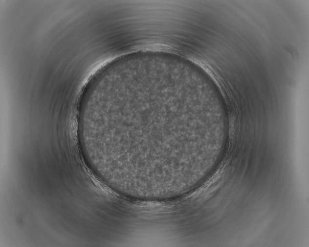 X0000112421115200909251510