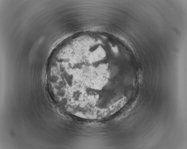 X0000112421117200909251510