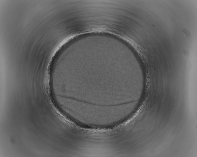 X0000112421118200909251510