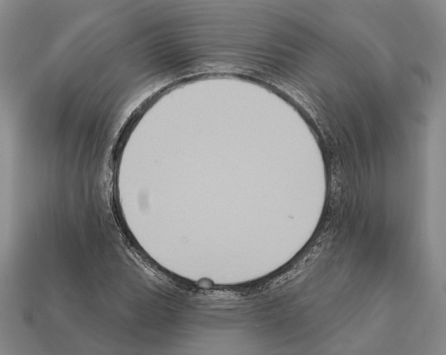 X0000112421119200909251510