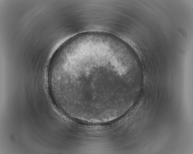 X0000112421120200909251510