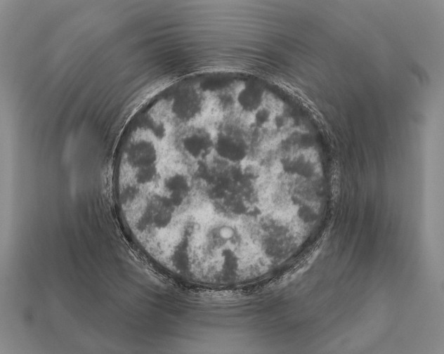 X0000112421121200909251510