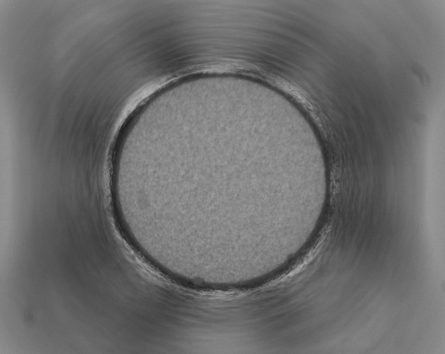 X0000112421122200909251510