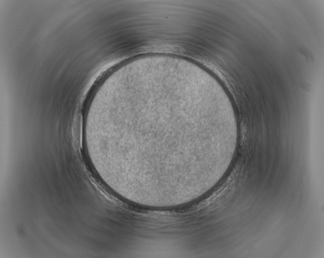 X0000112421123200909251510