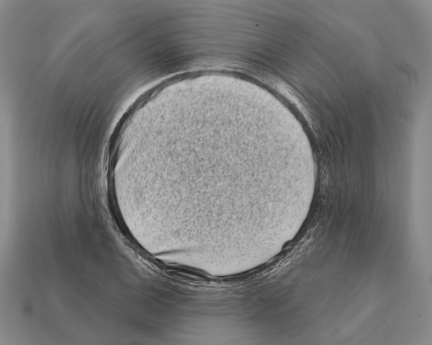 X0000112421124200909251510