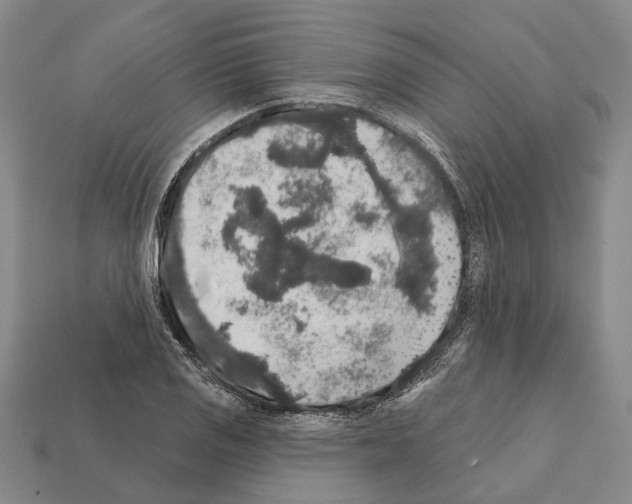 X0000112421125200909251510