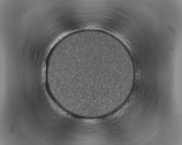 X0000112421126200909251510