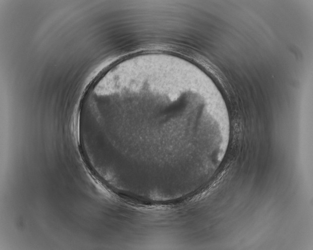 X0000112421127200909251510