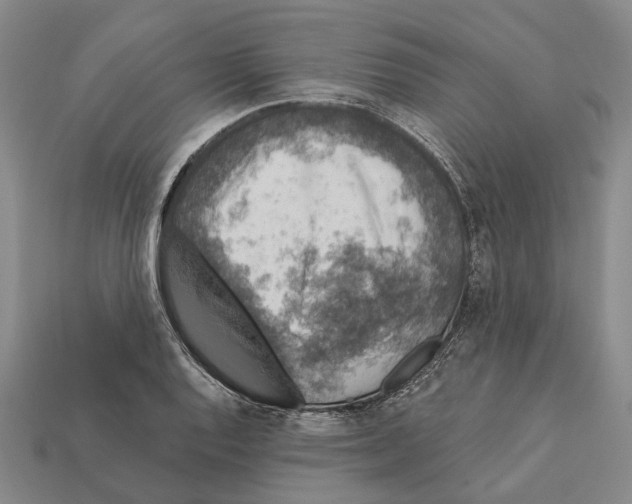 X0000112421128200909251510