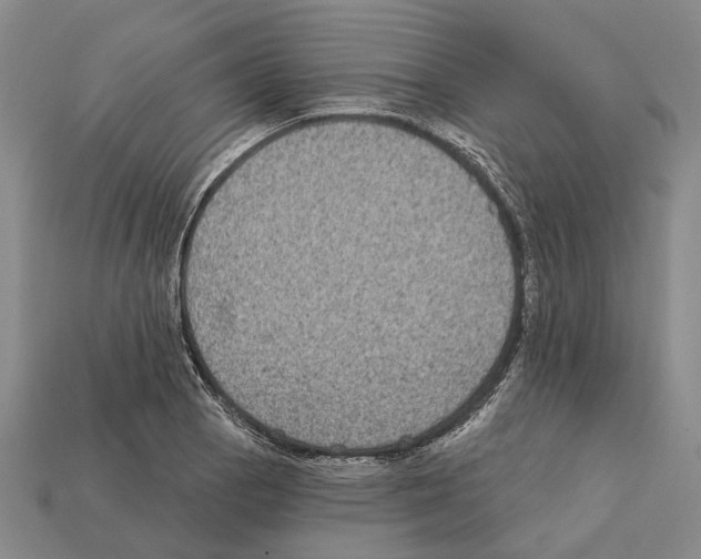 X0000112421129200909251510