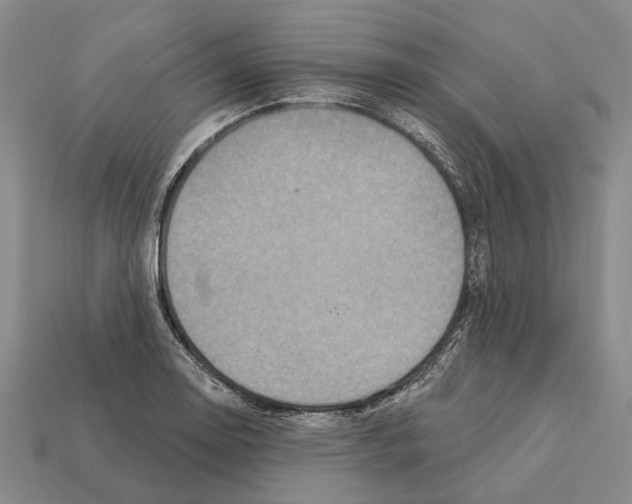 X0000112421130200909251510