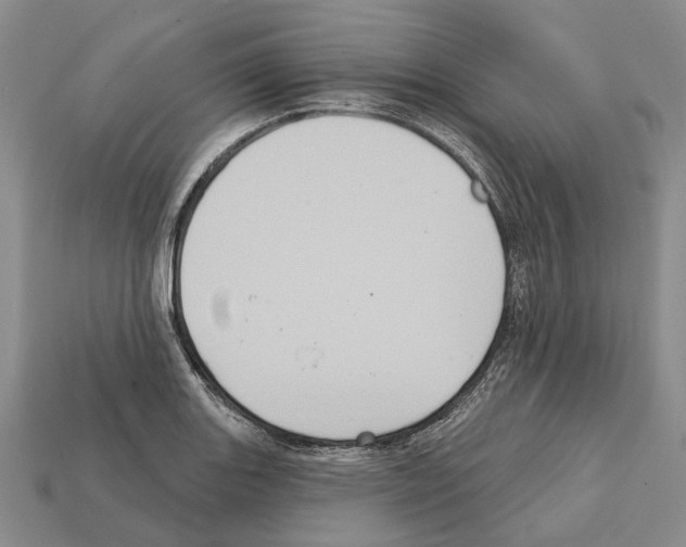 X0000112421131200909251510