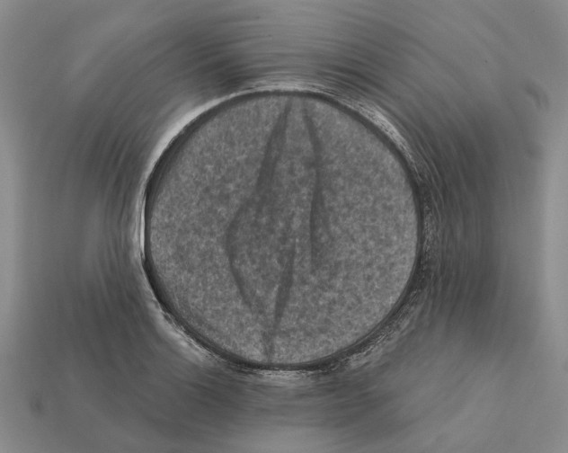 X0000112421132200909251510