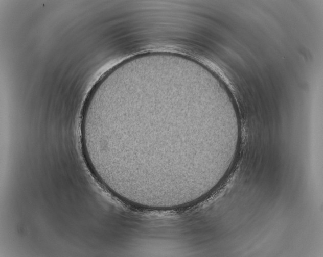 X0000112421133200909251510