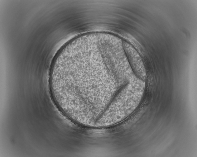 X0000112421134200909251510