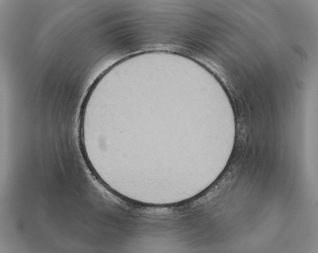 X0000112421135200909251510