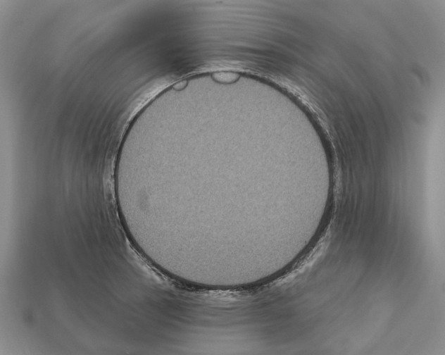 X0000112421137200909251511