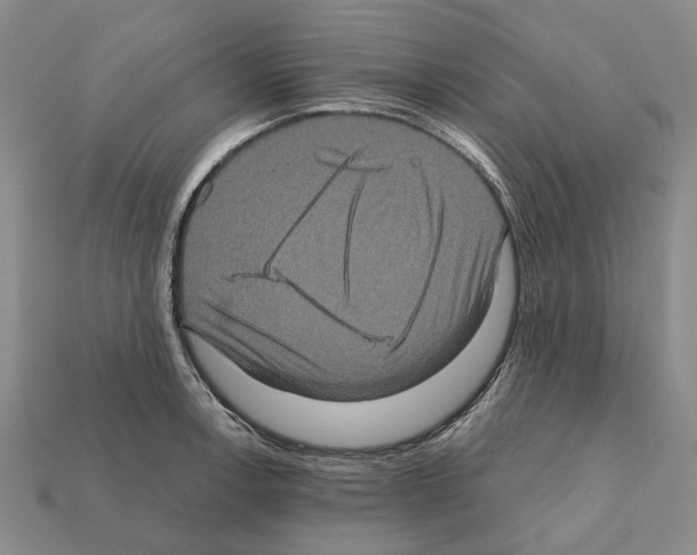 X0000112421138200909251511