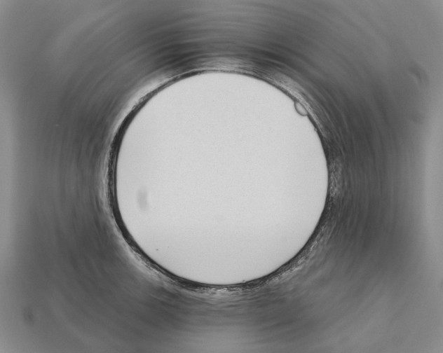 X0000112421139200909251511