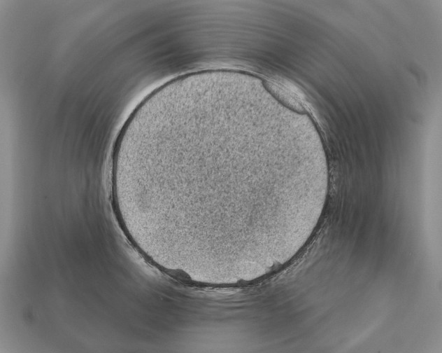 X0000112421140200909251511