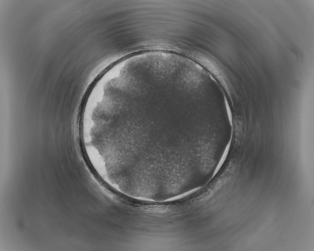 X0000112421141200909251511