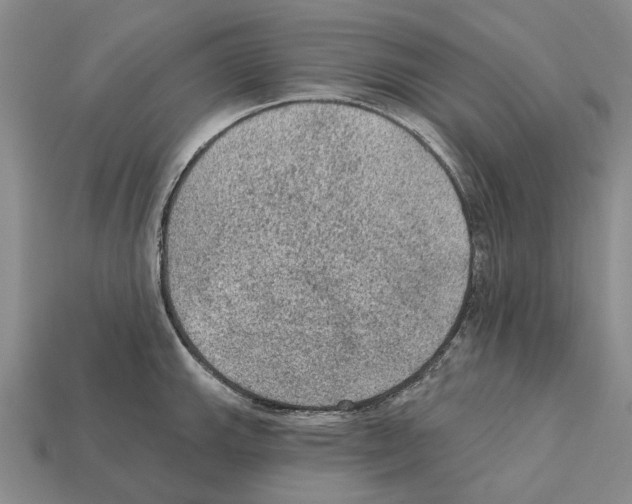 X0000112421143200909251511