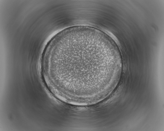 X0000112421144200909251511