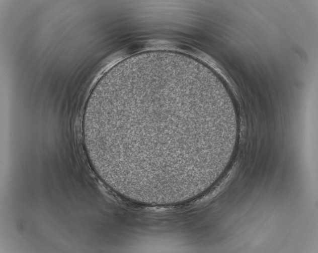 X0000112421145200909251511