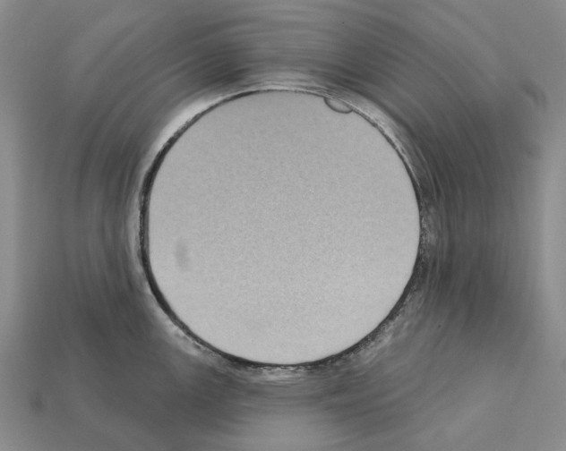 X0000112421147200909251511