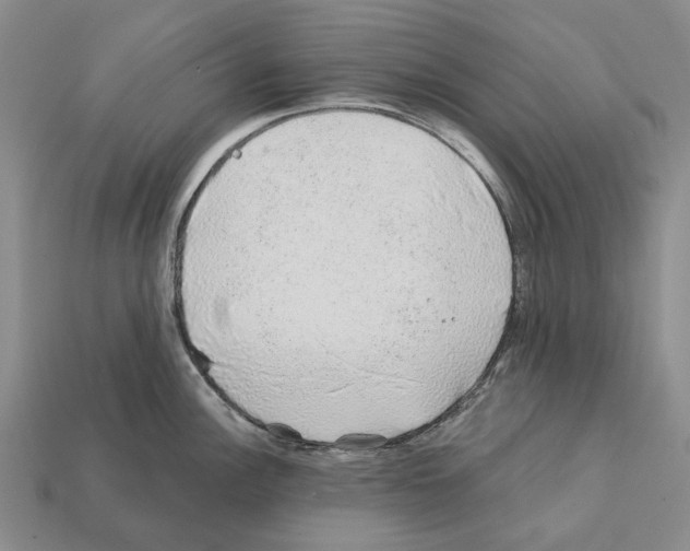 X0000112421148200909251511