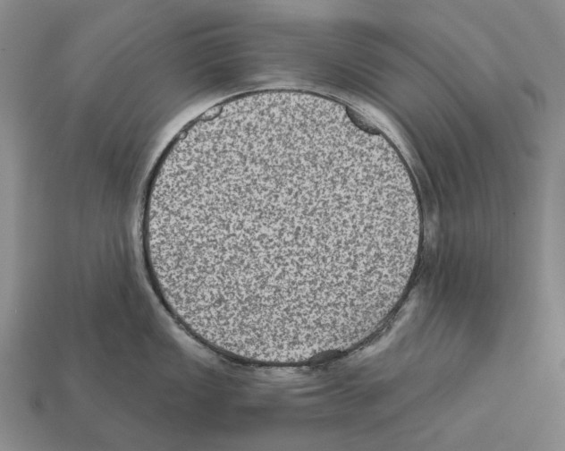 X0000112421149200909251511