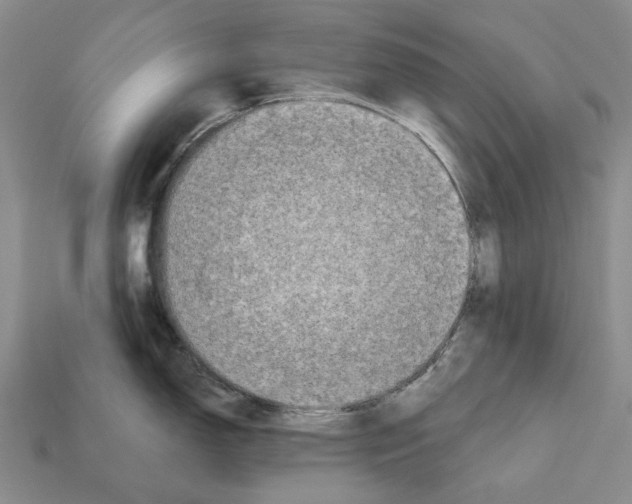 X0000112421150200909251511