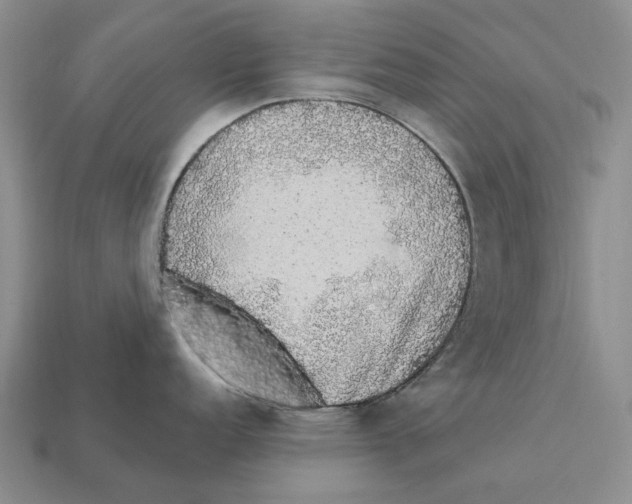 X0000112421152200909251511