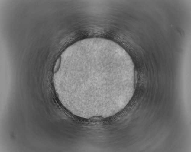 X0000112421153200909251510