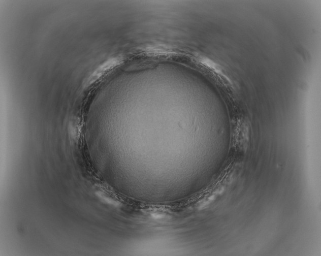 X0000112421157200909251510